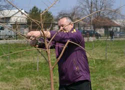 Загальноуніверситетські акції «Чисте довкілля» та «Посади дерево»